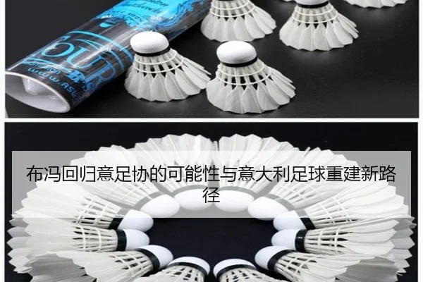 布冯回归意足协的可能性与意大利足球重建新路径